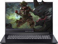 Ремонт та налаштування ноутбука Dream Machines RG2060-17